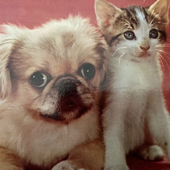 ~Vintage Accessories~ - Picture 11 of 11